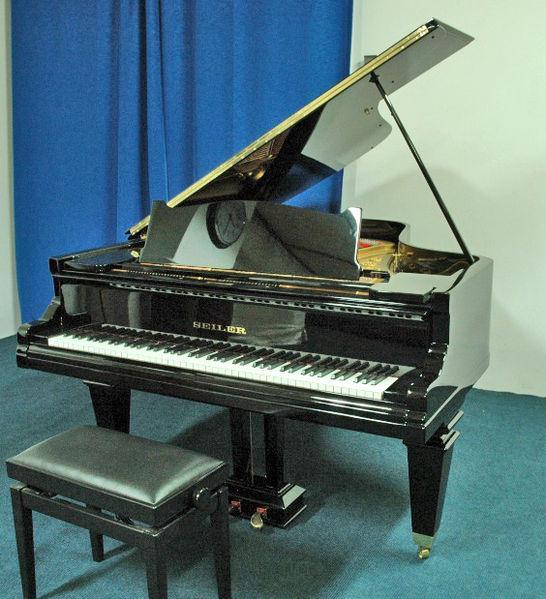 Grand Pianos Grand pianos are the largest piano type, and usually viewed as the most majestic and expensive.