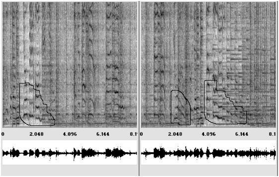 Gary W. Don and James S. Walker 11 a ã â Figure 6. Fourth and fifth panels of the spectrogram from Fig. 4 with related groups of time-frequency structures marked a, ã, and â.