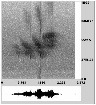 12 Music: A time-frequency approach d 1 b 1 c 1 a b c d Figure 7. Spectrogram of a warbler s song. poetry, and (3) the use of spectrograms as a generalized musical notation.