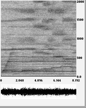 Gary W. Don and James S. Walker 17 g 3 3 g 3 Figure 10. Left: spectrogram of portion of Firebird Suite. Right: spectrogram with structure g amplified. been eliminated by this thresholding.
