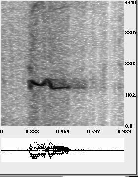 Gary W. Don and James S. Walker 19 (a) (b) (c) Figure 11. (a) Oriole chirp. (b) Synthesized bird chirp. (c) Synthesized bird song.
