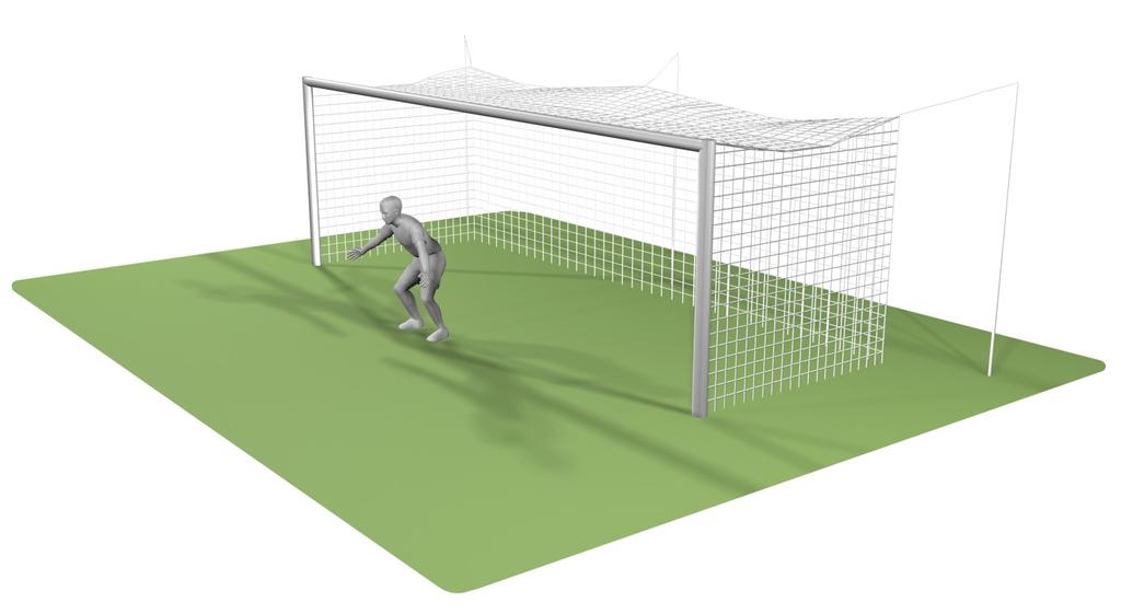 The image above is an example of hard shadows in the goal area.