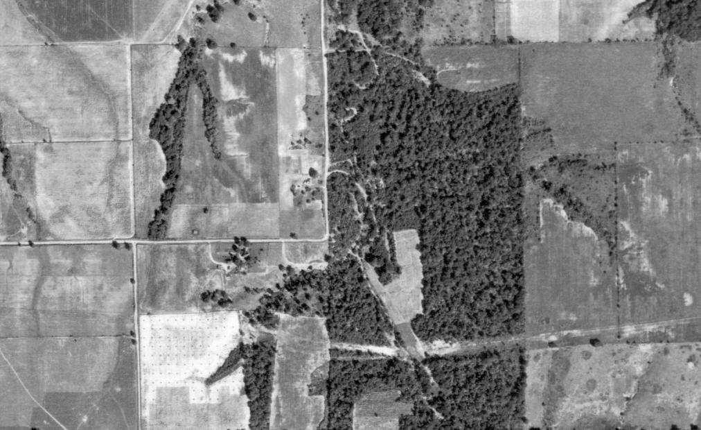 Figure 8. A 1941 aerial photograph showing the proposed project area northeast of Alsey, Illinois, outlined in red.