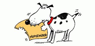 Homework and reminders 12/4-10: Final (!