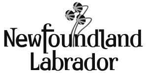 GOVERNMENT OF NEWFOUNDLAND AND LABRADOR ARTS AND LETTERS AWARDS 2017 The aim of the annual Arts and Letters Awards is to stimulate creative talent in the Province by awarding prizes in various