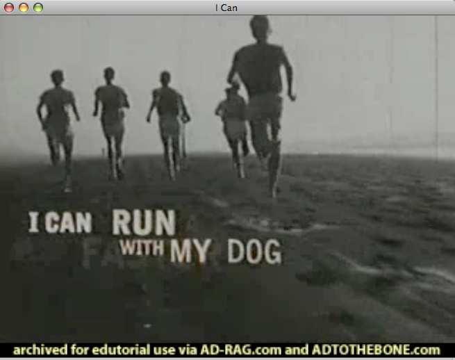 I CAN RUN WITH MY DOG Organisation: the statements serve to link the verbal mode to the visual mode. Anchorage - elaboration/specification and elaboration/ explanation.