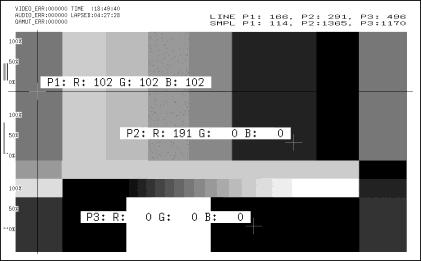 9. PICTURE DISPLAY RGB% Display Each R, G, and B level is indicated using a percentage. The levels are also indicated using bars on the left side of the display (the order is R, G, and then B).
