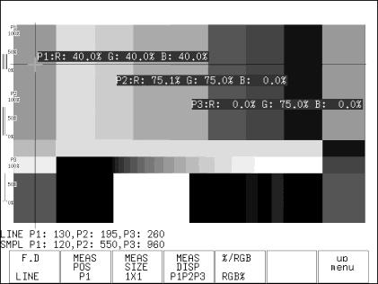 13. CINELITE Display RGB% display Each R, G, and B luminance level is indicated using a percentage.