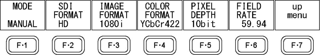 SYSTEM F 1 FORMAT F 1 MODE: AUTO / MANUAL 5.1.2 Selecting the Display Format Even if you set F 1 MODE to AUTO, the LV 5333 will be unable to distinguish between the following formats.