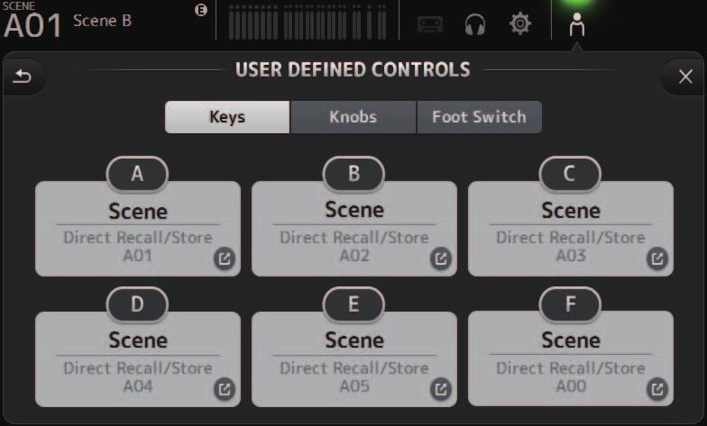 USER DEFINED CONTROLS screen This screen allows you to assign features to the [USER DEFINED KEYS], [USER DEFINED KNOBS], and to the footswitch.