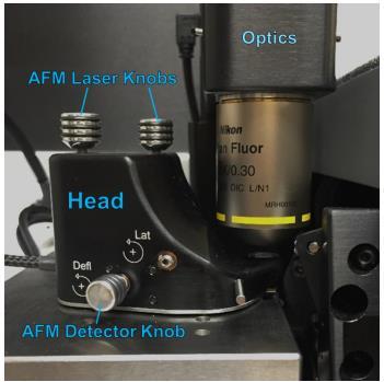 Align the AFM Laser using the Optical View: 1.