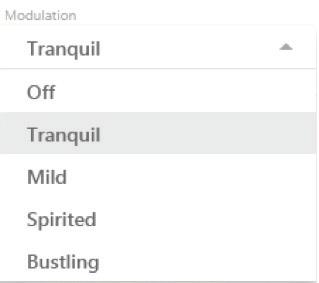 Sonic Spotlight Tinnitus SoundSupport 9 Modulation Several modulation options can be applied to the broadband sounds.