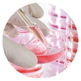 FROM GENERAL CELL CULTURE PREPARATIONS TO PURIFIED END PRODUCT APPLICATIONS THE
