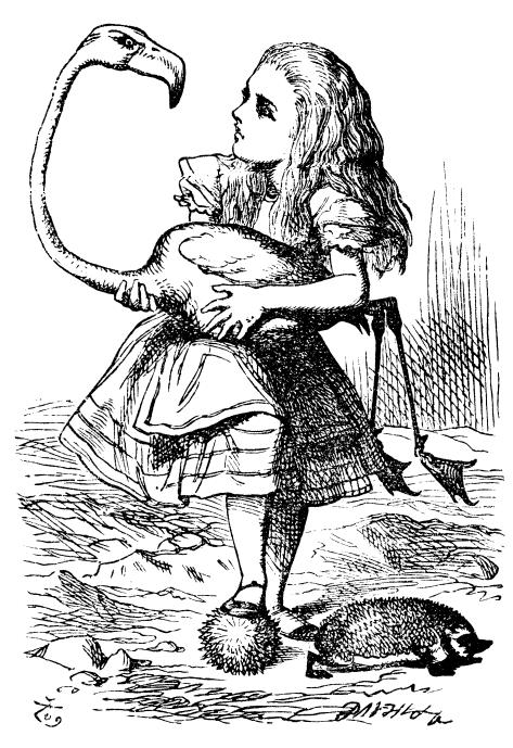 Synopsis of Alice s Adventures In Wonderland There are twelve chapters in Lewis Carroll s Alice s Adventures in Wonderland, and an additional prequel to the chapters a poem.