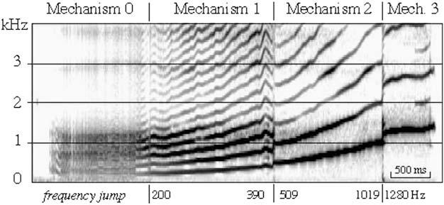 426 descending glissandos in a spontaneous way, and sustained vowels (/a/, /o/, and /i/) with a change of laryngeal mechanism at three different pitches (293 Hz D4, 311 Hz D#4, and 329 Hz E4,
