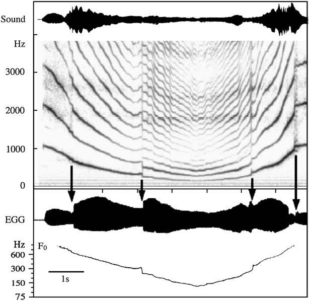 Both phases of the frequency perturbation can be explained by the mechanical phenomenon of decoupling of the tissue layers of the vocal fold during the switch in the direction M1 M2, which is almost