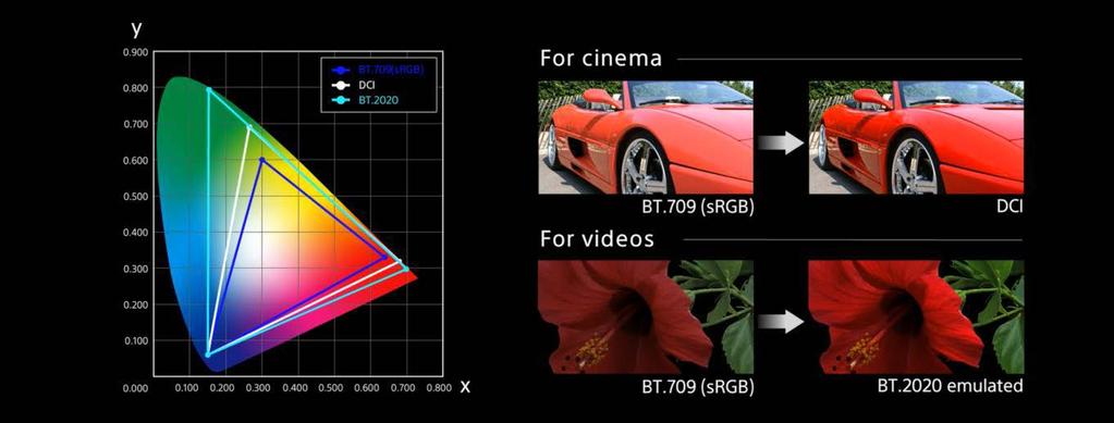 Sony s 4K projectors optimize color with BT.2020 Emulation while the VPL-VW5000ES adds native DCI P3 presentation. (Images simulated.) To take full advantage, the projectors include BT.