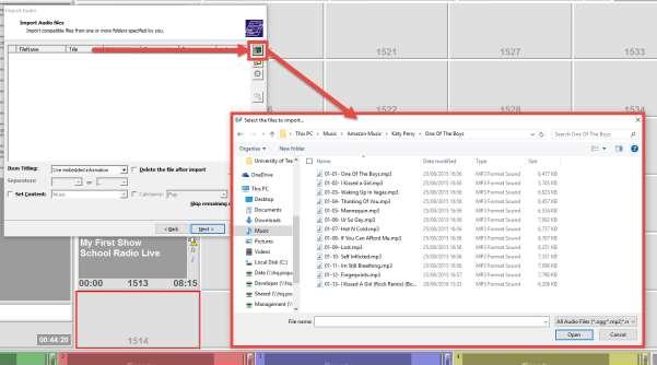 6. The selected files will now be listed in the main window.