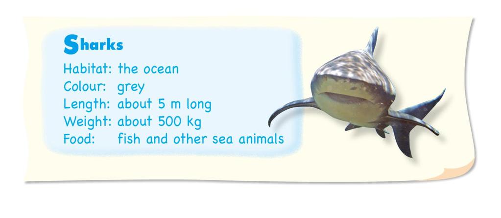 4 B: Where do sharks live A: They live in the ocean 5 B: A: What colour are sharks They re grey 6 B: A: How long are sharks They re about five metres long 7 B: How heavy are sharks