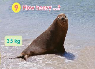 s two metres long 8 D: How heavy is