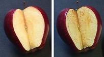 1. Anti-Oxidation Oxidation = The Rusting Process (Cut apple after several minutes) Living Tissue +