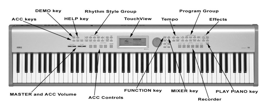 Endings, and 4 variations per style. 40,000 note / 8 track sequencer with 100 song memory. On-screen HELP feature Stereo Inputs/Outputs and dual headphone jacks.