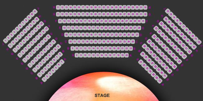 Audience & Stage Auditorium 312 numbered seats (see seating plan below). Rear row seats can be removed in pairs to accommodate disabled guests, technical & video recording equipment, as required.