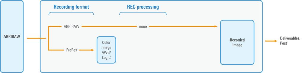 Recording Image Path - Recording Format On any ALEXA SXT, in the RECORDING menu, you have the choice of recording ARRIRAW or ProRes.