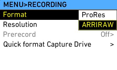 The "COLOR > REC processing" menu choice will be automatically set to "none", as the camera does not perform any processing on the image.