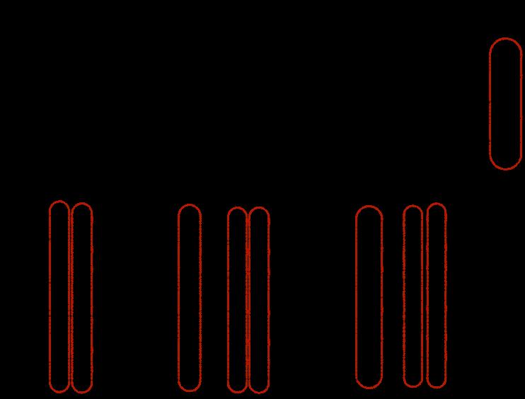 arrangement of the rows, vertical orderings of steering