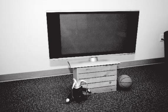 CHILD SAFETY: It Makes A Difference How and Where You Use Your Flat Panel Display Congratulations on your purchase!