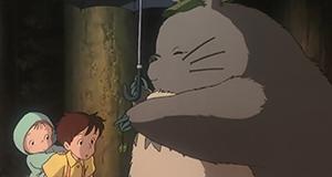 Signs and Cultural Symbols in Film This shot of Totoro gifting the girls with a packet of acorns is viewed from a third-person or objective point of view.