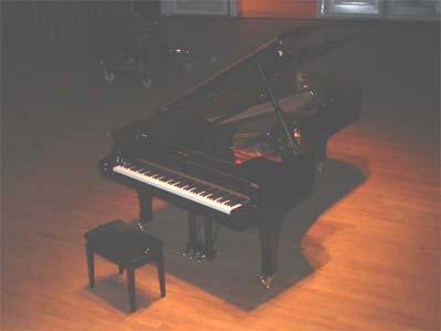 The instrument The Black Grand's featured piano, a Steinway D Hamburg, was recorded using SLH, SampleTekk's proprietary digital recording system which allows ultra-deep sampling of acoustic