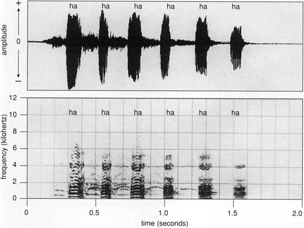 1.4. PSYCHOACOUSTIC MODELS OF LAUGHTER 5 note is about 75 milliseconds long and is repeated regularly in 210-millisecond intervals. The figure 1.