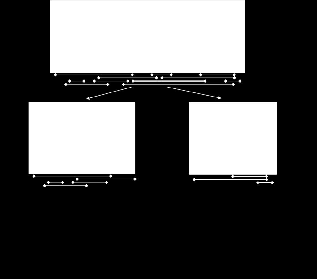 binary segmentation scheme