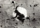 The prints and slides show the stencil graffiti of Downtown New York, 1980-1985.