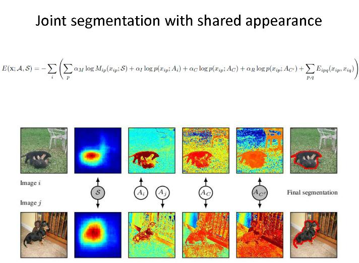Joint Segmentation with Shared