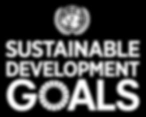 SDG FOR ENTITIES WITHIN UN SYSTEM DON TS 17 USAGE : DON TS DO NOT stretch/squash/distort DO NOT rearrange elements DO NOT alter the typeface DO NOT add drop shadows DO NOT mix with other colours DO
