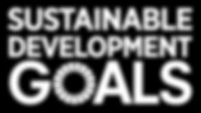 SDG FOR NON-UN ENTITIES DON TS 42 USAGE : DON TS DO NOT stretch/squash/distort DO NOT rearrange elements DO NOT alter the typeface DO NOT add drop shadows DO NOT mix with other colours DO NOT move