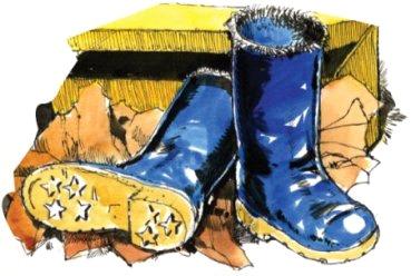 Joe lifted them out. They were glossy navy-blue and lined with some kind of short black fur and they had a pattern of stars on the soles.