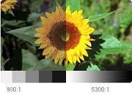 Contrast ratio Experts believe that the higher contrast