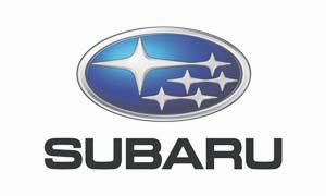 Subaru logo will appear for five seconds before the main menu appears on the screen.