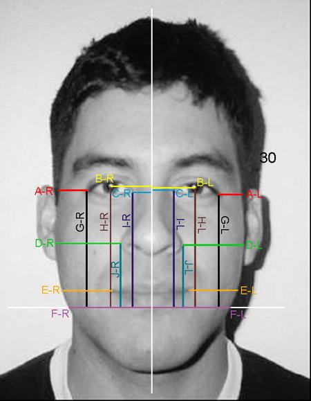 FACIAL SYMMETRY AND PHYSICAL ATTRACTIVENESS 12 Appendix A A breakdown of the 20 facial areas used in the calculation of facial symmetry: An example of the seven