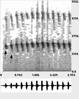 5.9 Inverting Gabor transforms 21 A B Osprey Oriole FIGURE 5.16 Spectrograms of bird songs. notation.