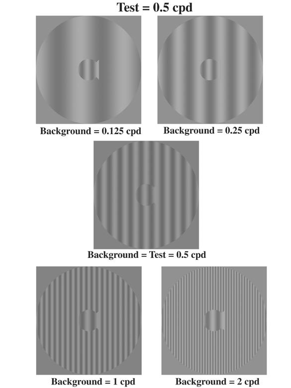 PATH Training P Uses a series of grayscale stripes that differ in width with each trial.