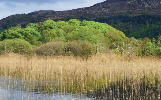 Dates below Venues below Map Refs below To the Waters and the Wild There are over sixty trails of walking trails and routes in Sligo, which boasts unspoilt scenery and landscape steeped in mythology