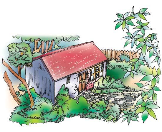 The Shed Do you know what a shed is? A cow shed, a tool shed, a wood shed, for example. It s a small room, away from the main house, for storing or keeping things, animals, tools, vehicles, etc.