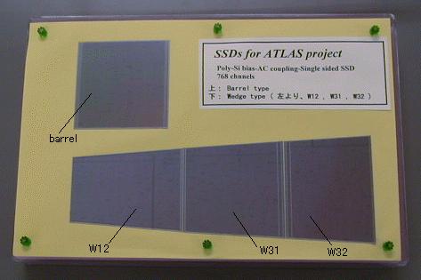 Strip Detector(SSD) Silicon