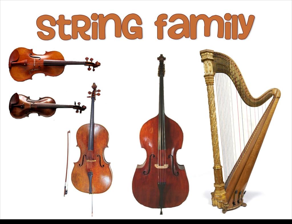 String Family Strings are attached to a hollow, wooden sound box which amplifies their sound (makes it louder) through vibration.