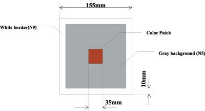 FIG. 2. Stimulus configuration. conditions for a TV monitor. Moreover, the maximum luminance for a monitor depends on the luminance of the luminescent red, green, and blue phosphors (RGB).
